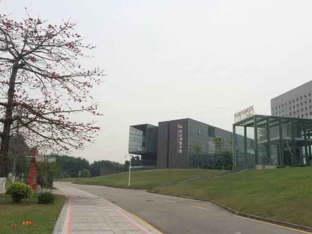 Songshan Lake Library