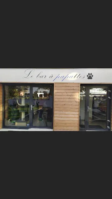 Bar à papattes(bar à chats)