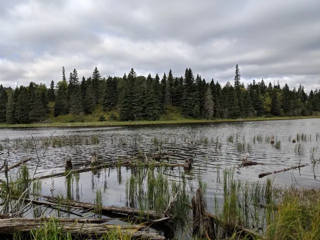Bead Lakes hiking Trail Riding Mountain National Park