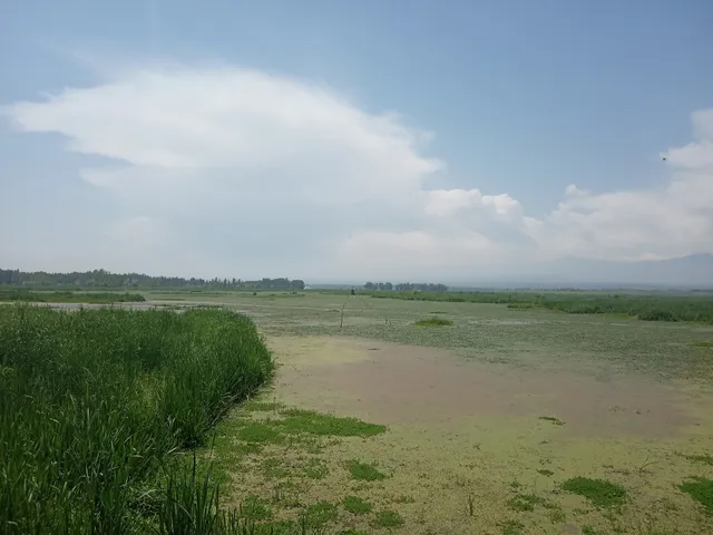 Department Of Wildlife