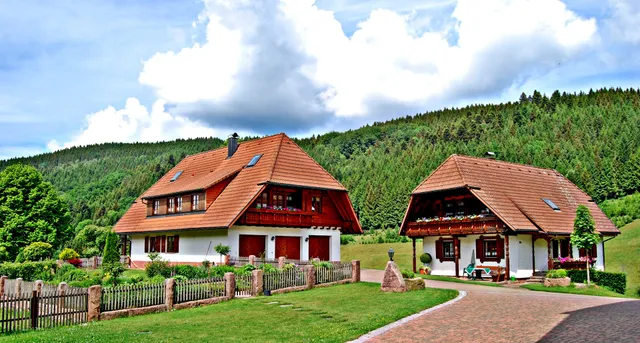 Fußbauernhof - Daniel Schmid