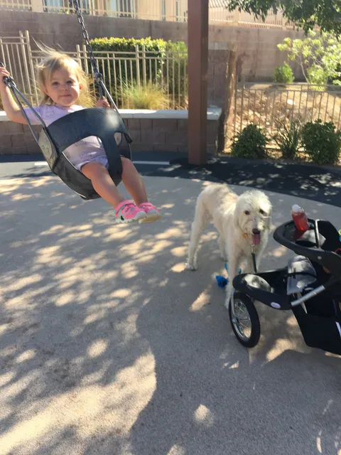 Aliante community back park