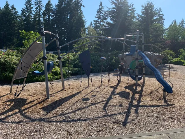 Cougar Park Playground