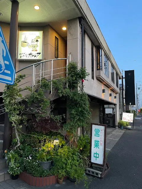 Kind Cook House Cattleya