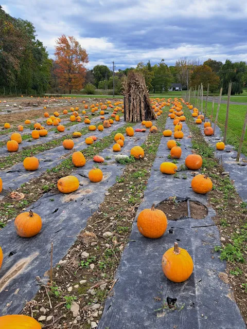 Overlook Farm Market Home Stand