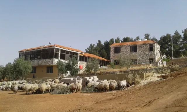 Talet dar Abo Jubran