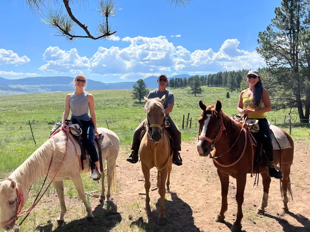 Roadrunner Tours LLC.