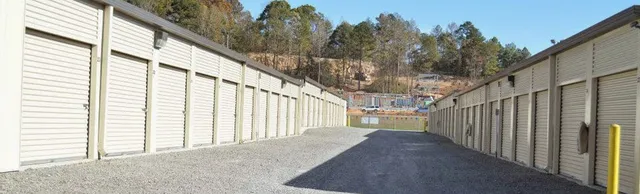 Pinson Valley Self Storage