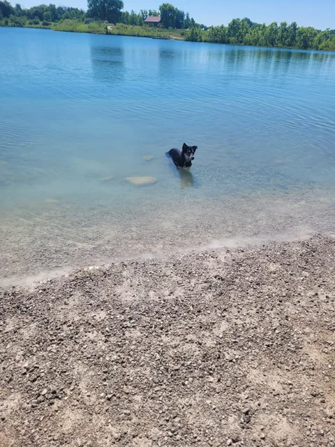 Prairie Oaks Dog Beach