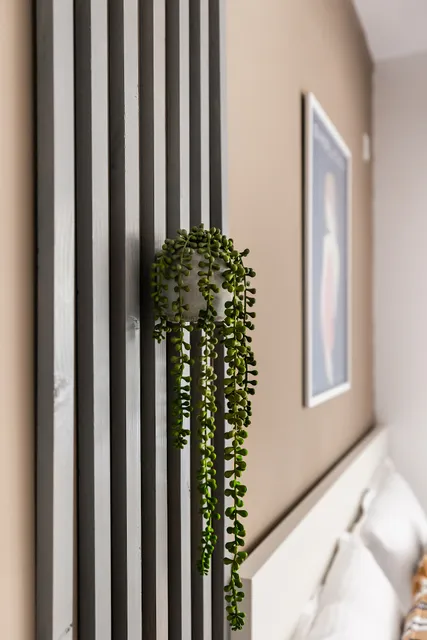 Simplicity Apartments