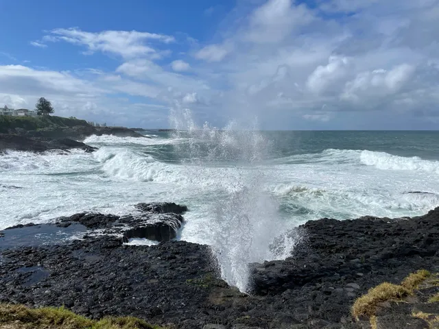 Little Blowhole