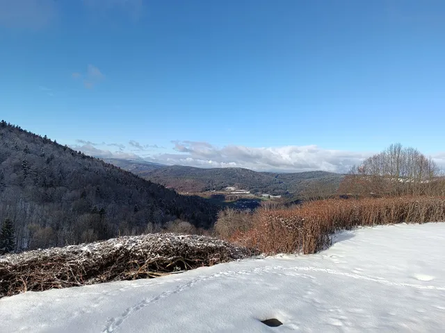 Ferienwohnung Sonnenwald 38