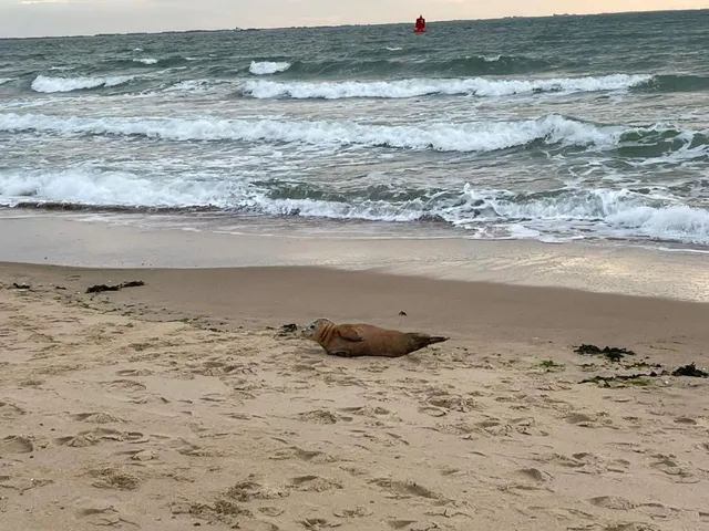 Prive-kamer in villa aan zee