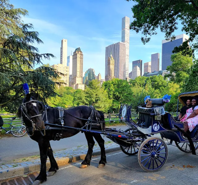 Central Park Carriage