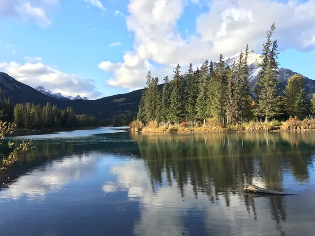 Bow River Barbecue Pit