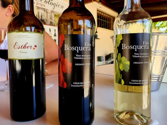 Bodega Ecológica Andrés Morate