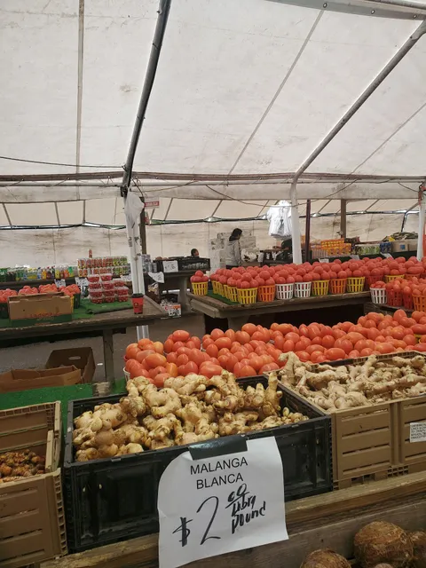 C. Arellano and Sons Produce