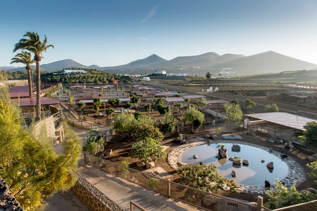 Quesería Finca de Uga