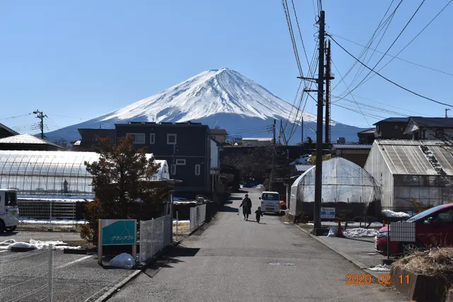 FujisanKingyo Kawaguchiko
