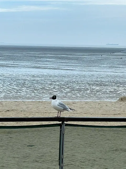 Ferienwohnungen Häfchenweg 12/1, 12/5 und 12/6