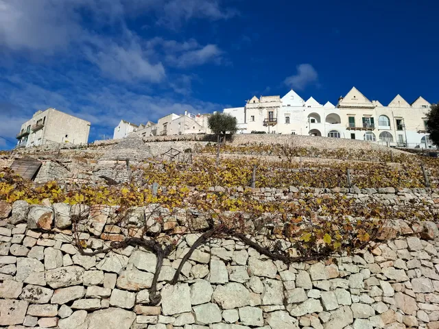 Nonna Chiara Casa Vacanze