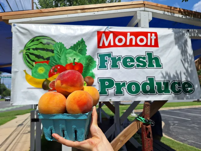 Moholt Fresh Produce