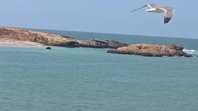 Castelo Real de Mogador