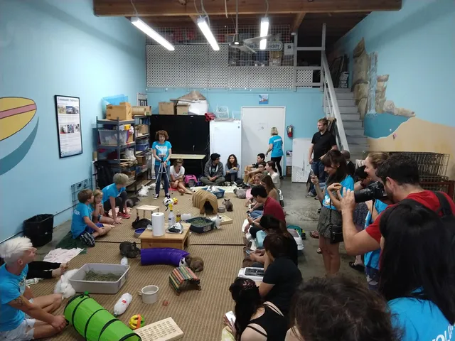 San Diego House Rabbit Society