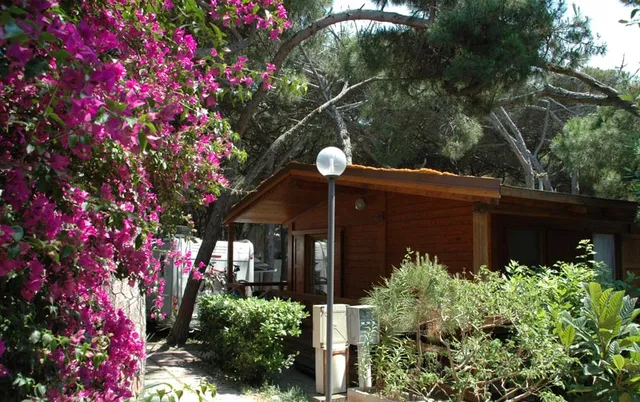 Camping Village Club Marziotta