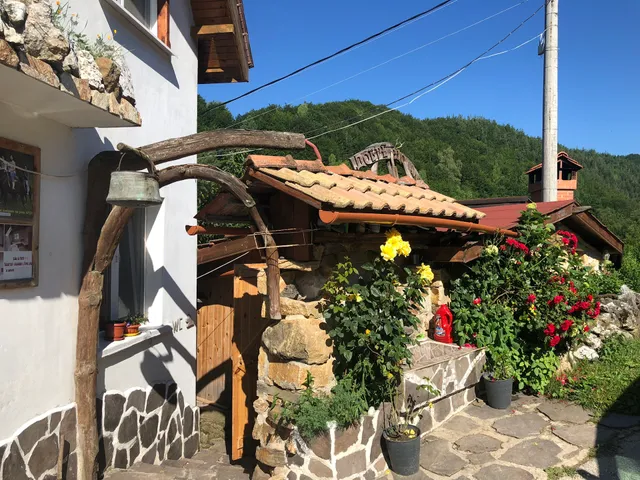 Guest house Tihiat Kut Ananievi