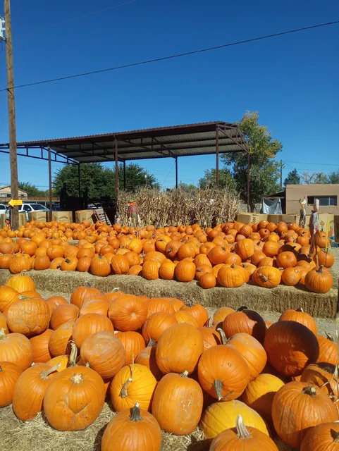 Wagner Farm Corrales