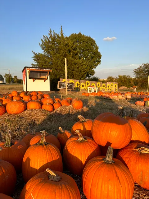 Hope Fall Days Pumpkin Patch