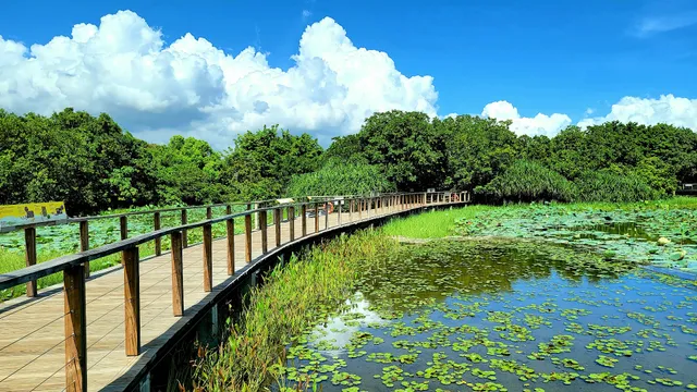 Hong Kong Wetland Park