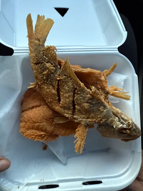 Five points seafood market