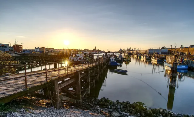 harbour of IJmuiden