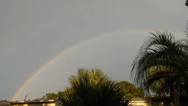 Panama City Beach Condo Rentals