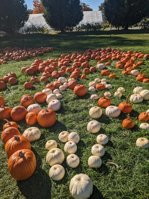 Harvest Moon Farm & Orchard