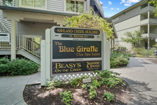 The Blue Giraffe Spa & Salon