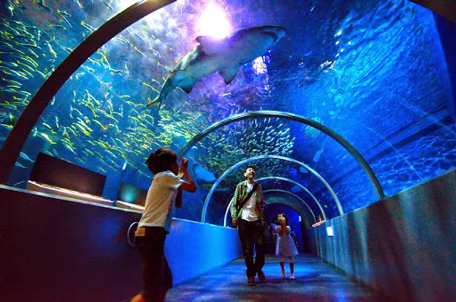 Noboribetsu Marine Park Nixe