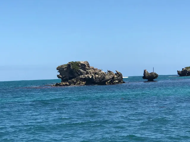 Penguin & Seal Island Cruises