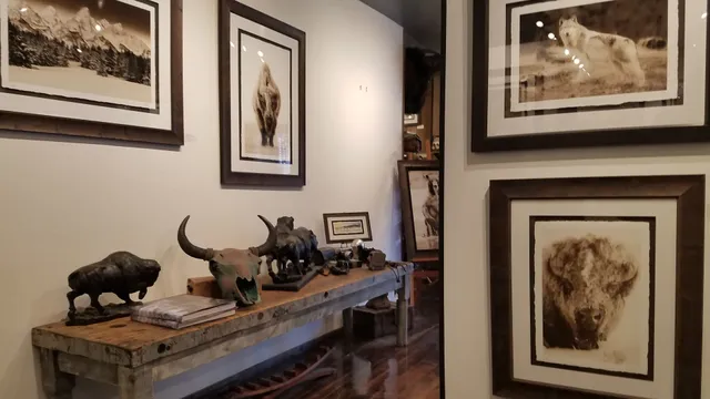 Medicine Bird Gallery