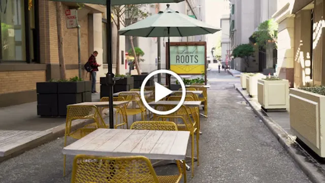 Local Roots by Opa Cafe