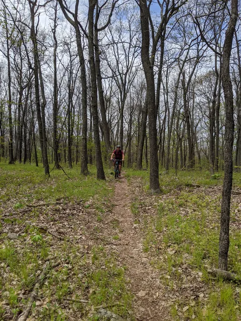 Allamuchy Mountain Trailhead