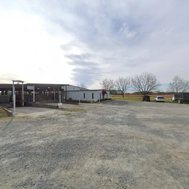 Mt Olive Livestock Market