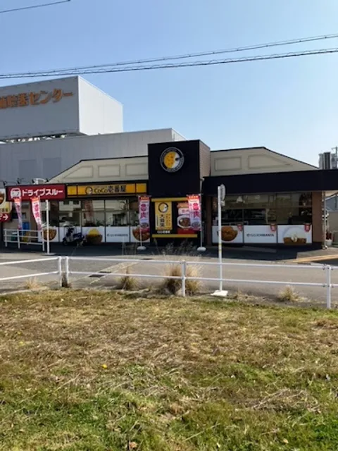 Coco Ichibanya Gifu Usa