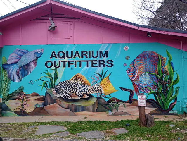 Aquarium Outfitters Carolina