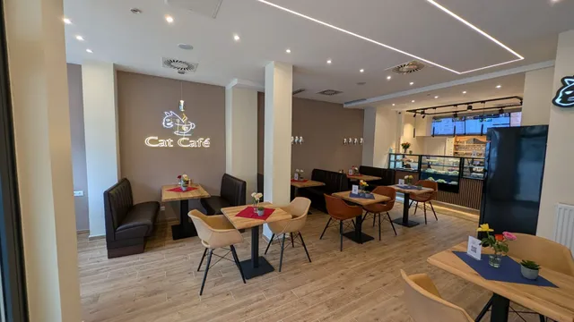 CAT CAFÉ