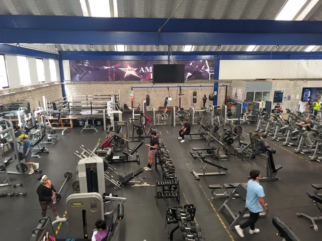 American Fitness México Nuevo