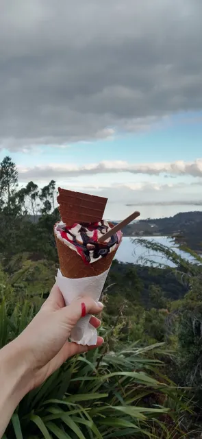 Danish Delight Ice Cream