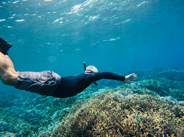 The Wall (snorkeling place)